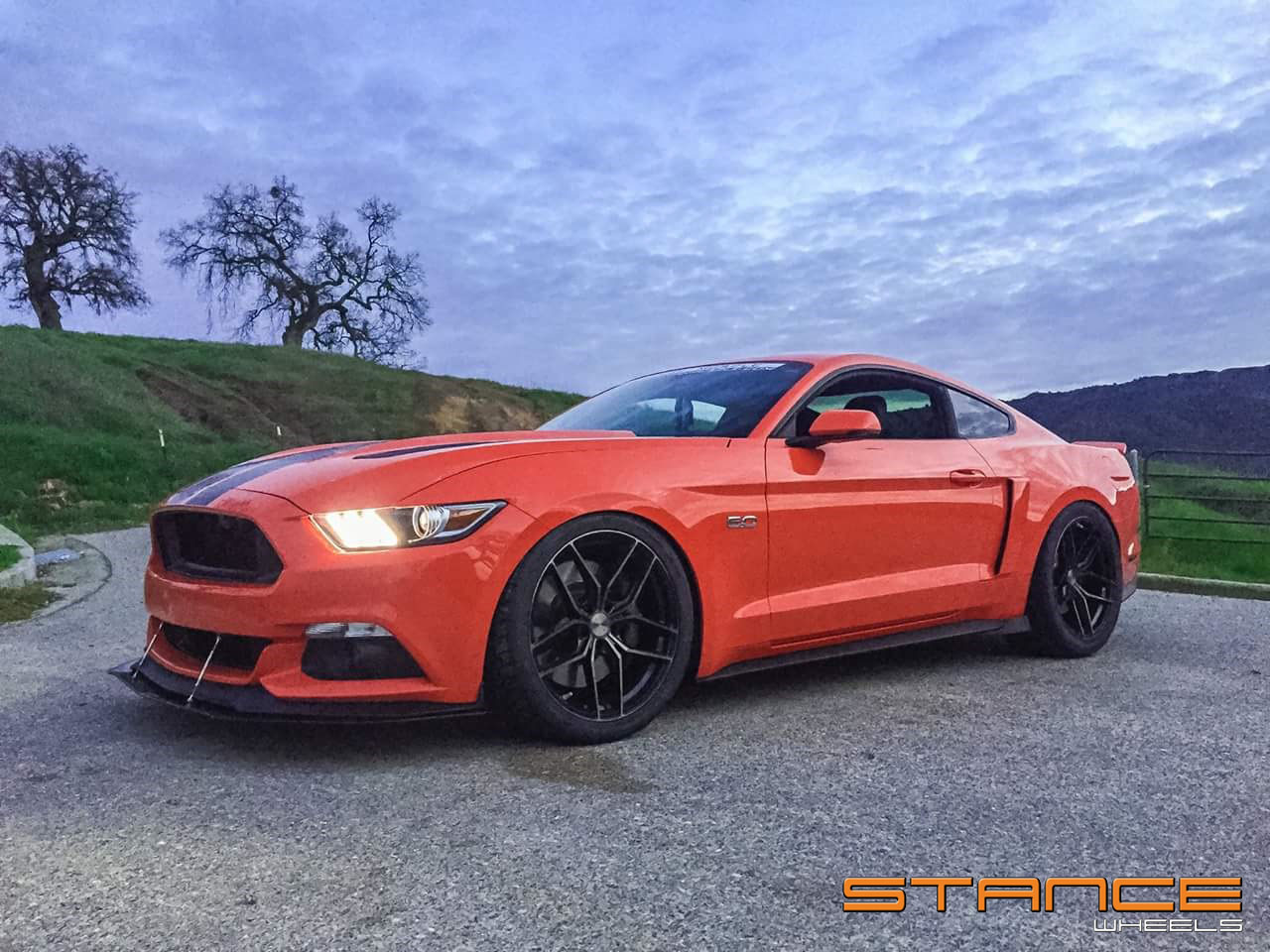 Ford Mustang | SF03